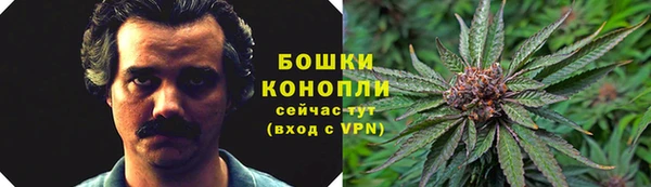 ПСИЛОЦИБИНОВЫЕ ГРИБЫ Беломорск