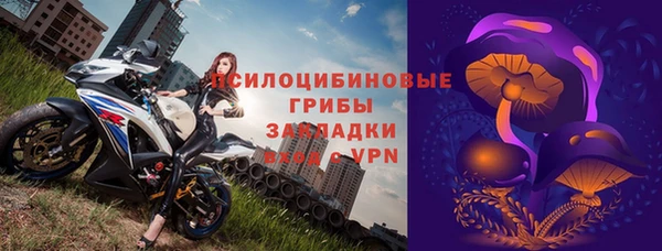 ПСИЛОЦИБИНОВЫЕ ГРИБЫ Беломорск