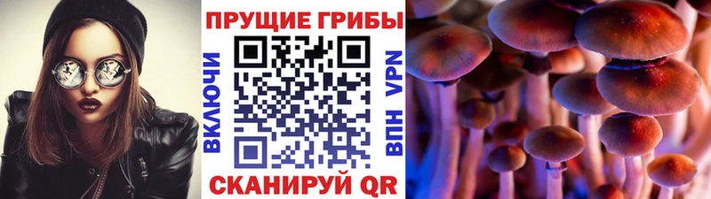 Купить Гремячинск Галлюциногенные грибы MAGIC MUSHROOMS